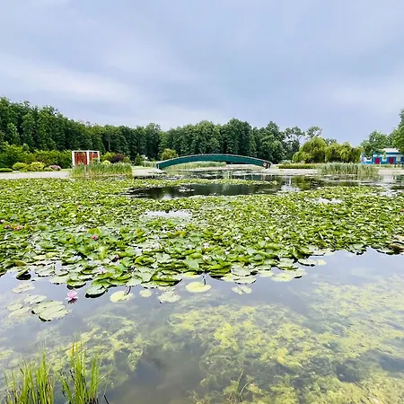 Gyoengy Apartahotel Zalakaros