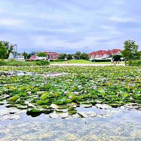 Gyöngy Apartmanhotel 4*